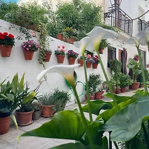 el-rinconcito-de-antonia.es-andalucia.com/
